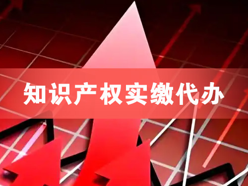 果洛知识产权实缴资本代办